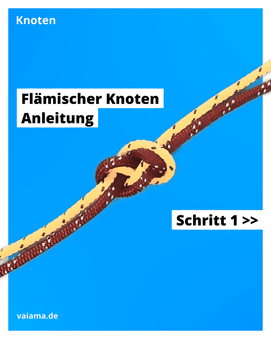flämischer-knoten-1_10.1.1.png