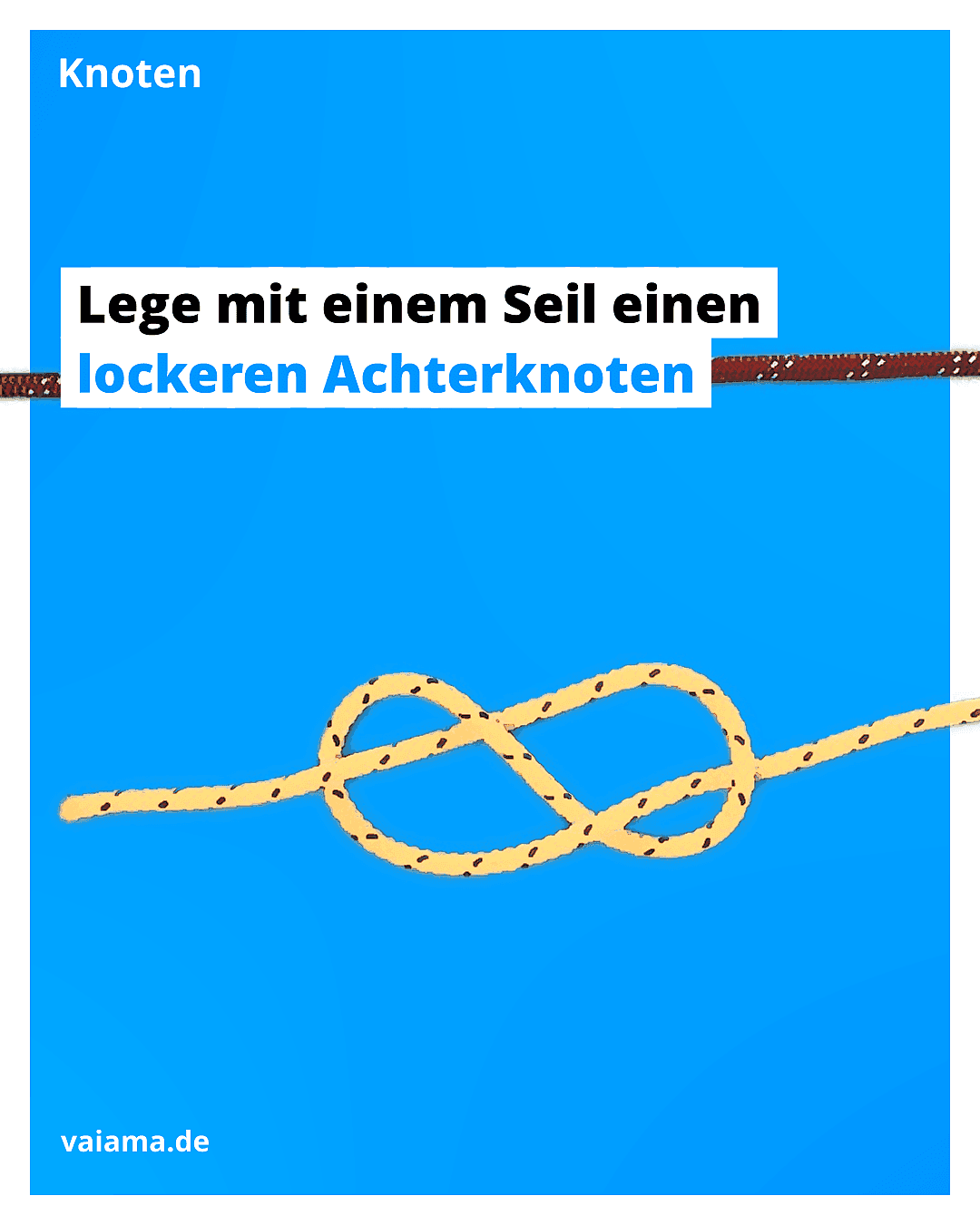 flämischer-knoten-2_11.1.1.png