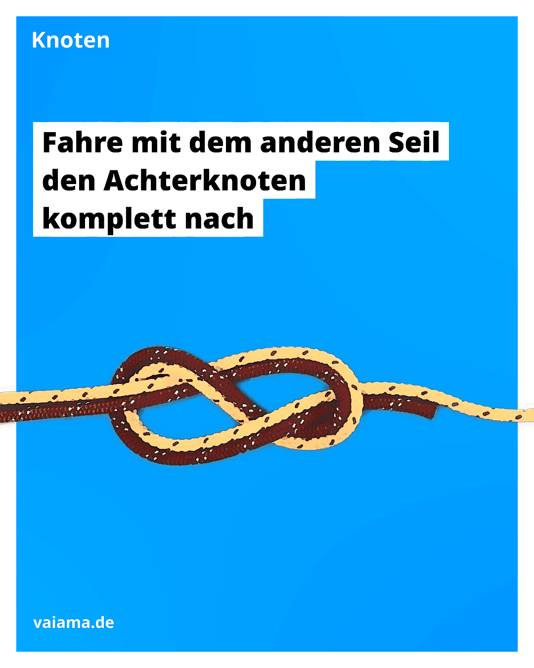 flämischer-knoten-3_10.3.1.png