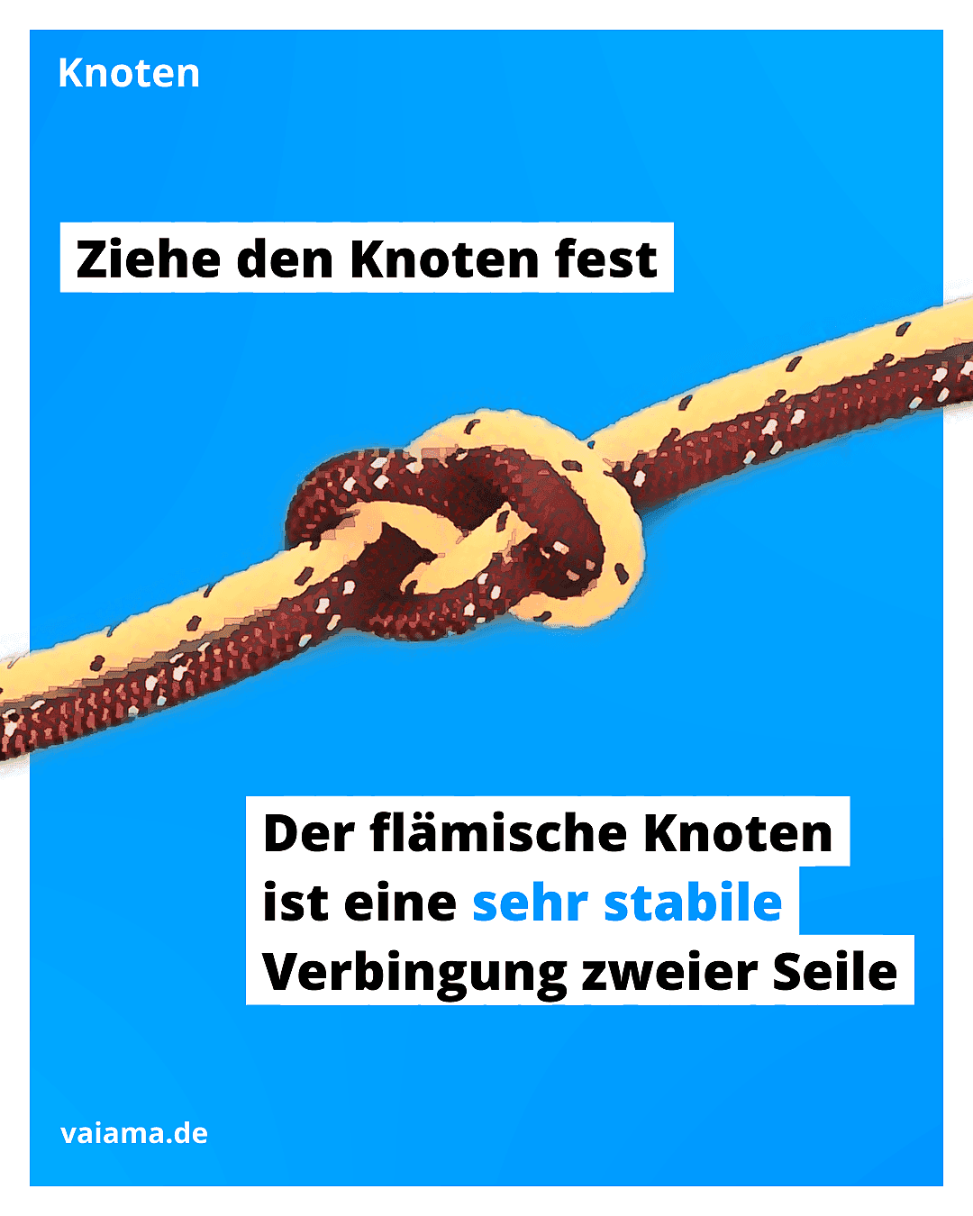 flämischer-knoten-4_12.1.1.png