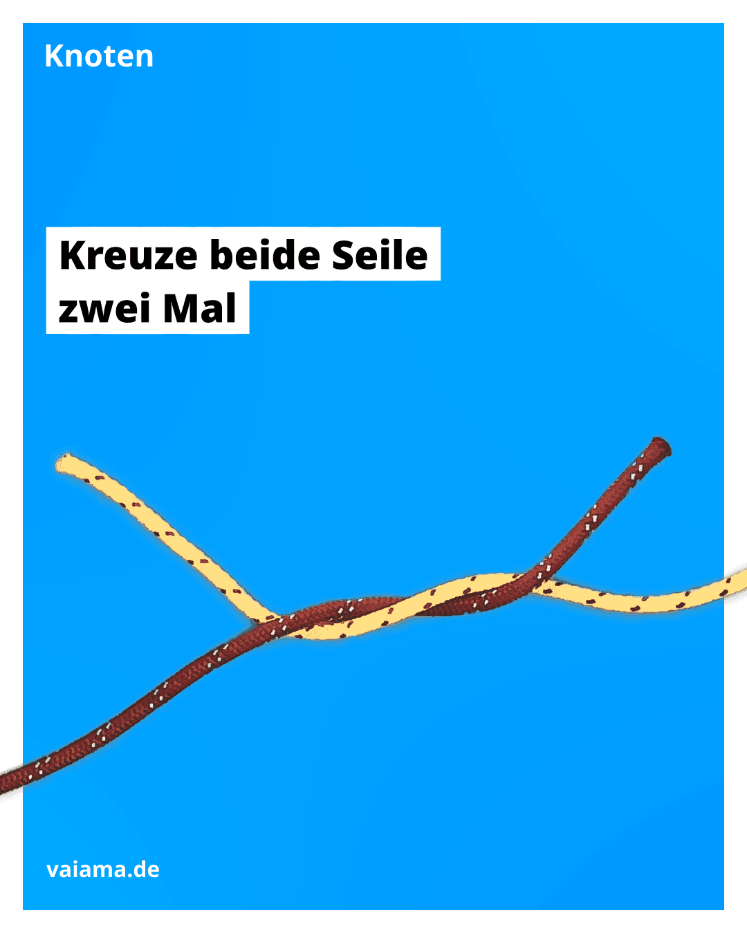 kreuzknoten-2_10.2.1.png