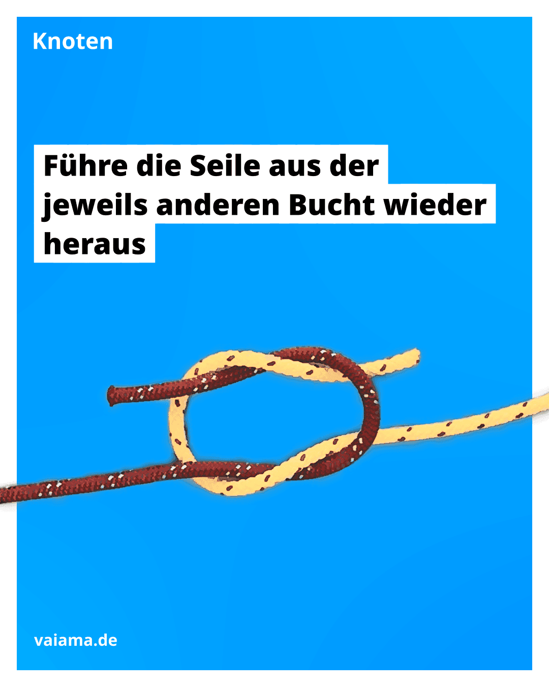 kreuzknoten-5_10.5.1.png