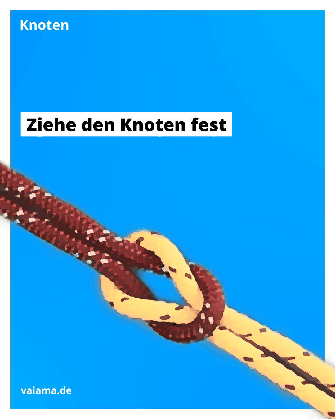 kreuzknoten-6_10.6.1.png