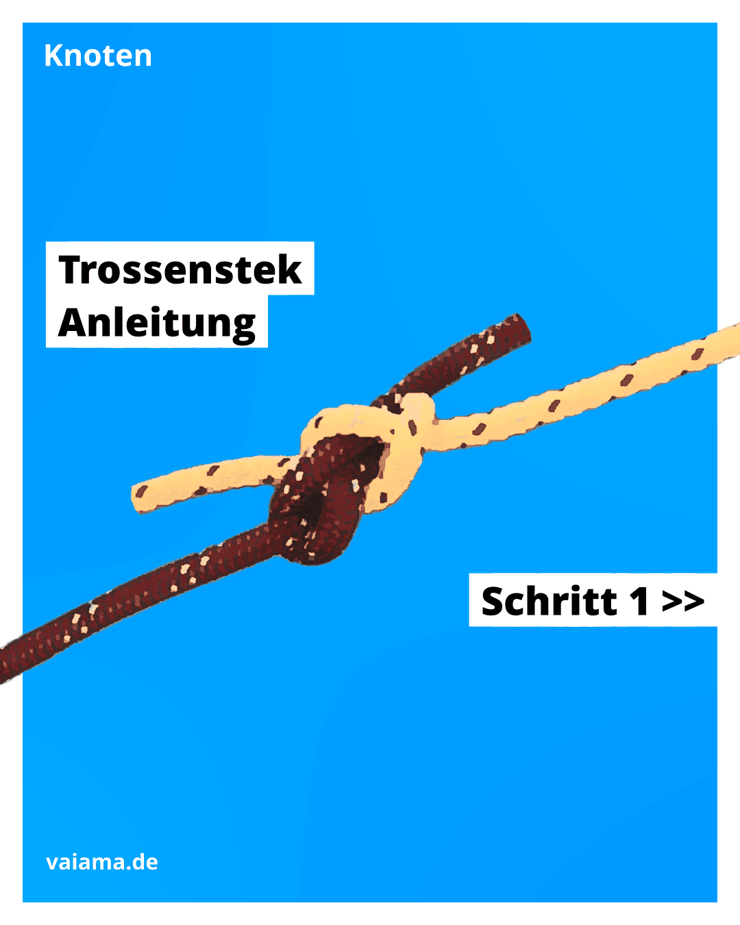 trossenstek-1_10.1.1.png
