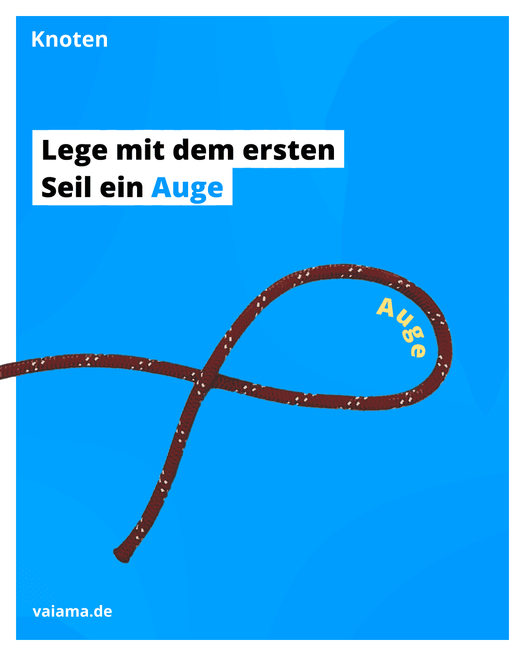 trossenstek-2_12.1.1.png