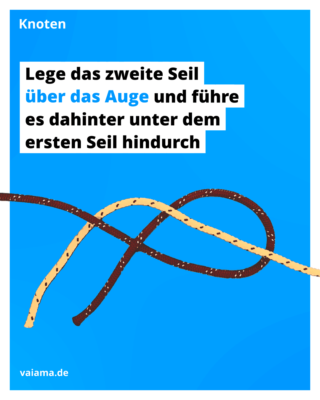 trossenstek-3_11.2.1.png