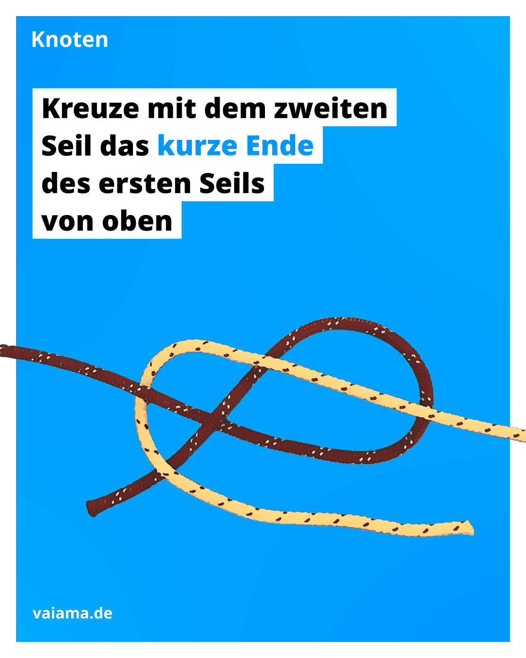 trossenstek-4_11.3.1.png