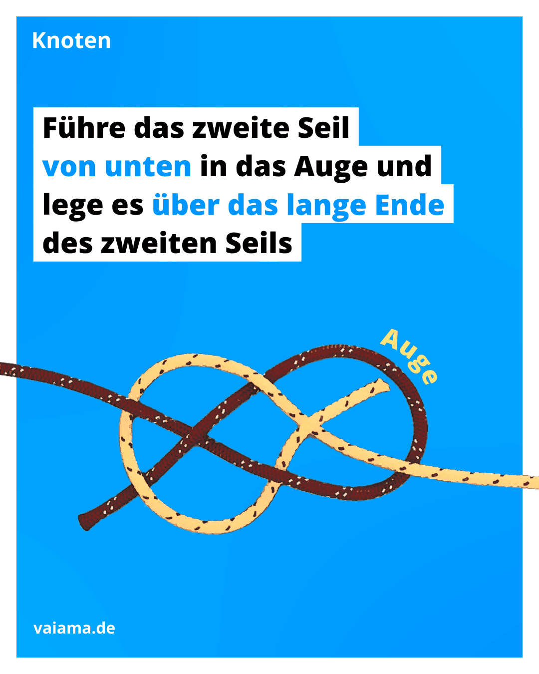 trossenstek-5_13.1.1.png