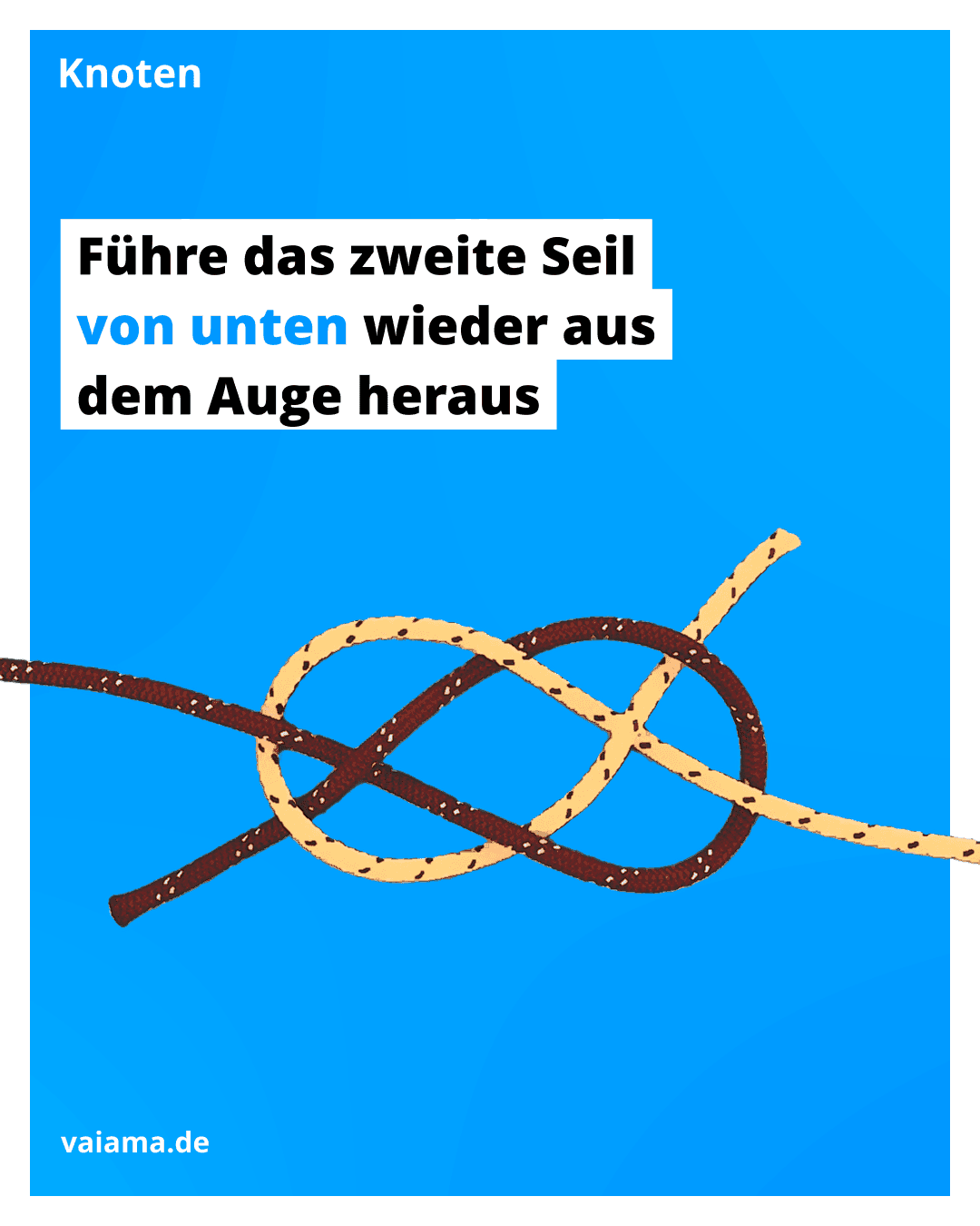 trossenstek-6_11.5.1.png