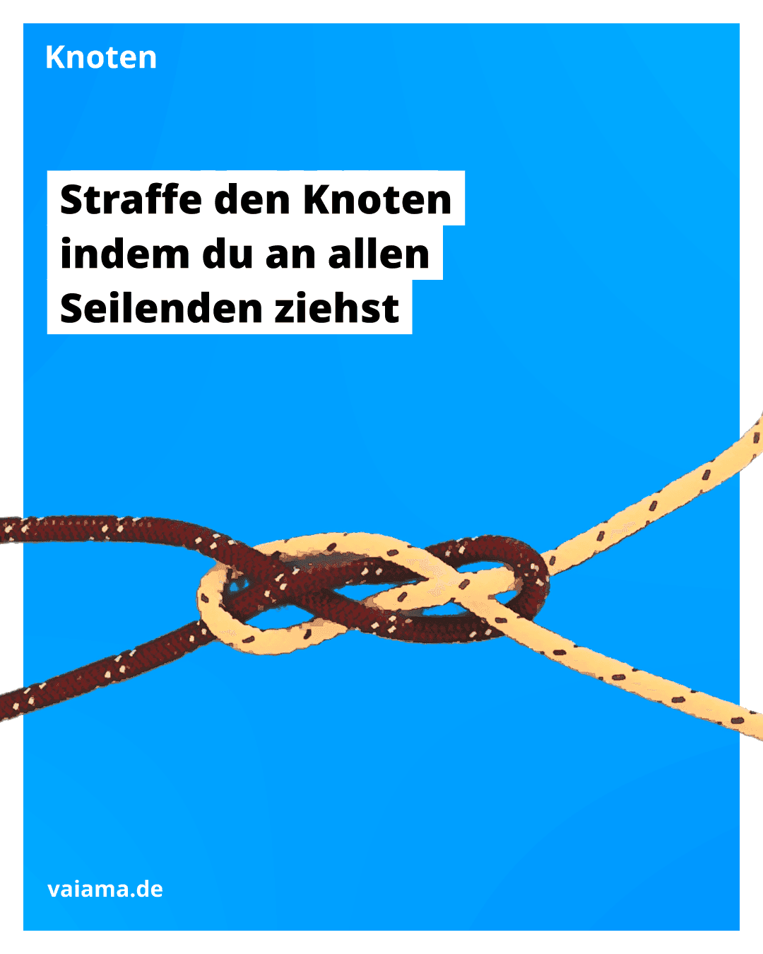 trossenstek-7_10.7.1.png