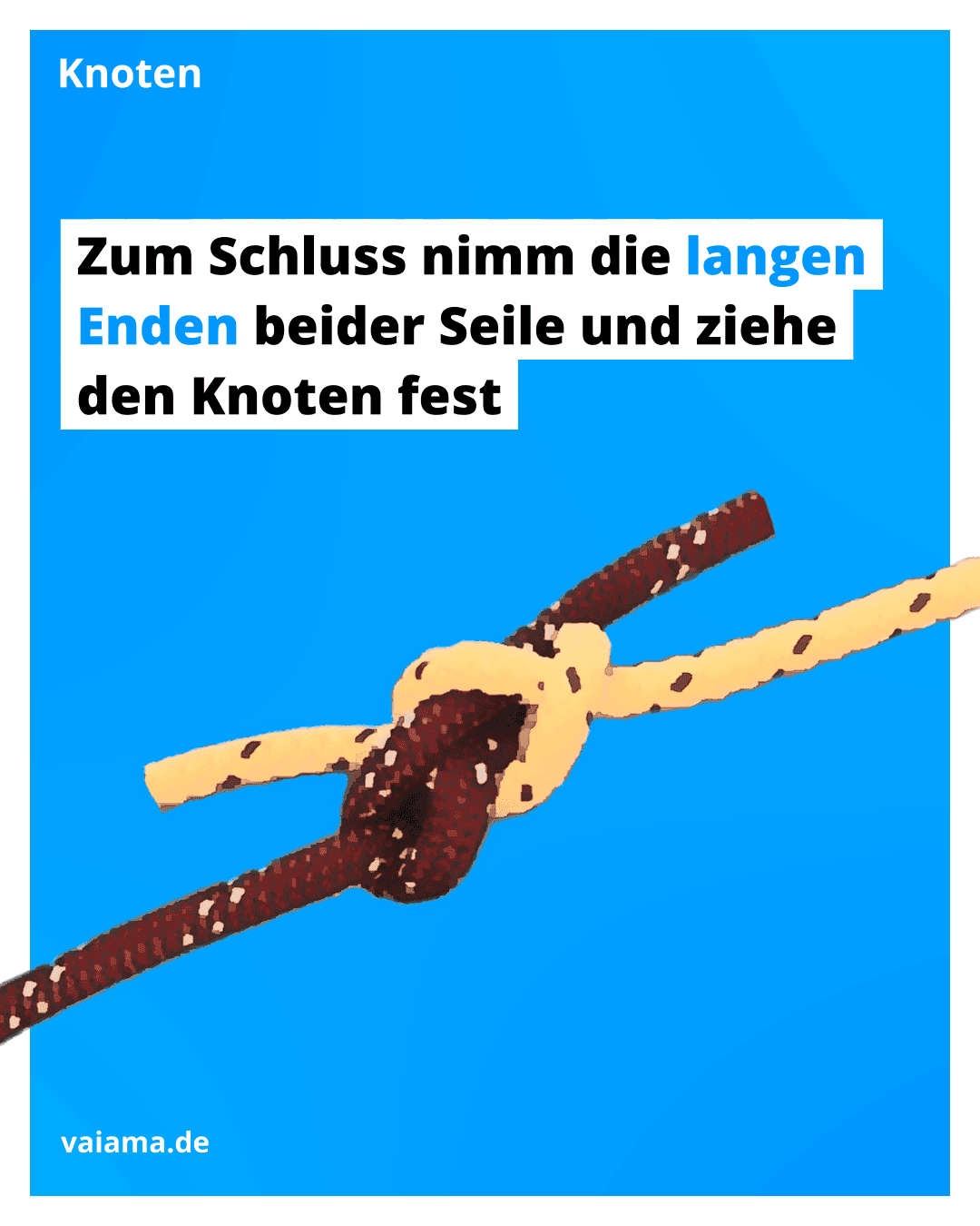 trossenstek-8_12.3.1.png